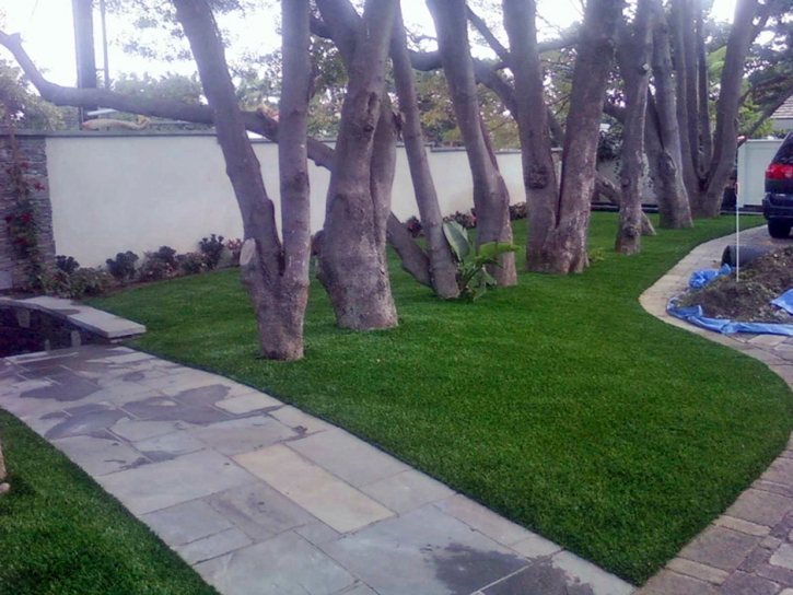 Synthetic Grass Cost Towner, Colorado City Landscape, Front Yard Design