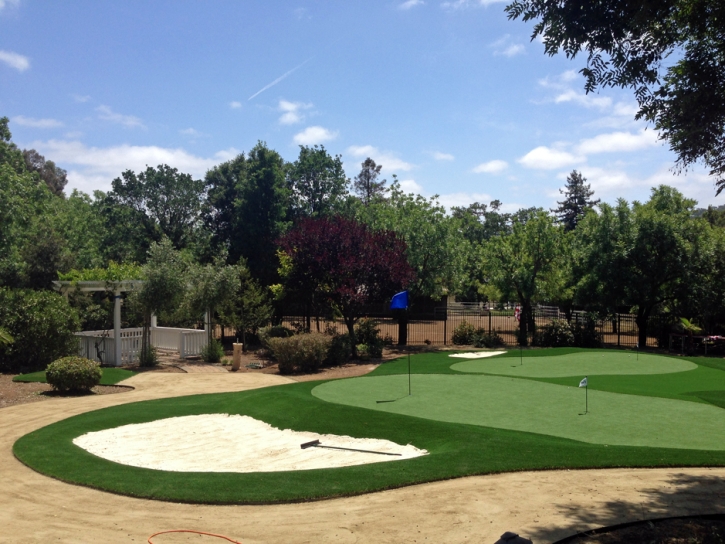 Synthetic Grass Georgetown, Colorado Putting Green Carpet, Front Yard Landscape Ideas