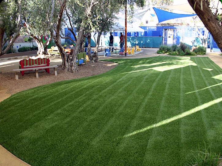 Synthetic Grass San Luis, Colorado Landscape Ideas, Commercial Landscape