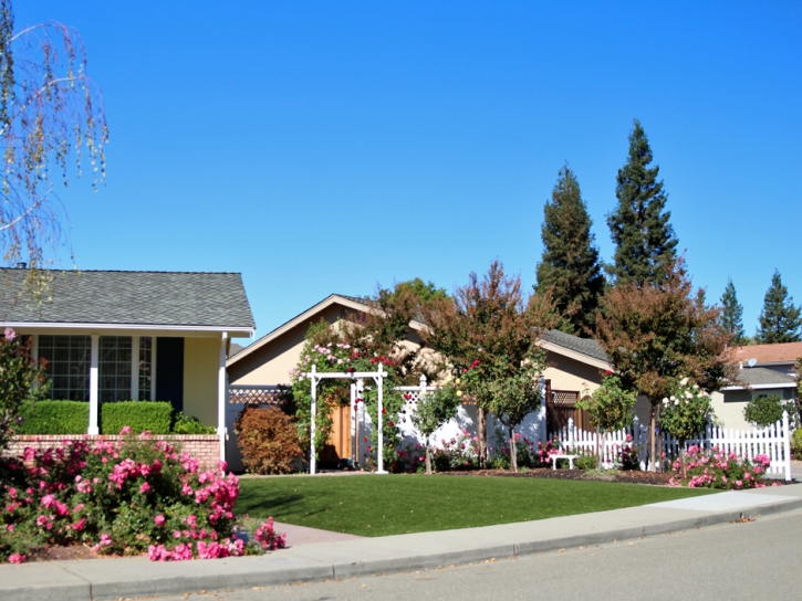 Synthetic Lawn Cherry Hills Village, Colorado Landscape Rock, Small Front Yard Landscaping