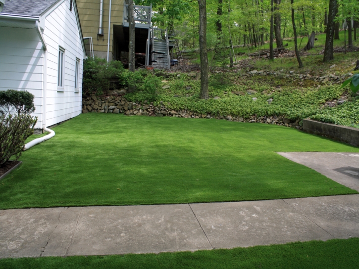 Synthetic Lawn Coaldale, Colorado Backyard Deck Ideas, Front Yard Design