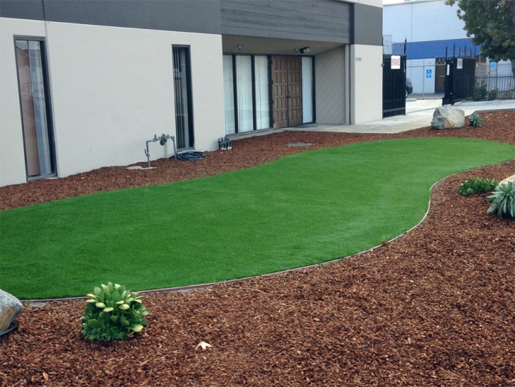 Synthetic Lawn Dillon, Colorado Rooftop, Commercial Landscape