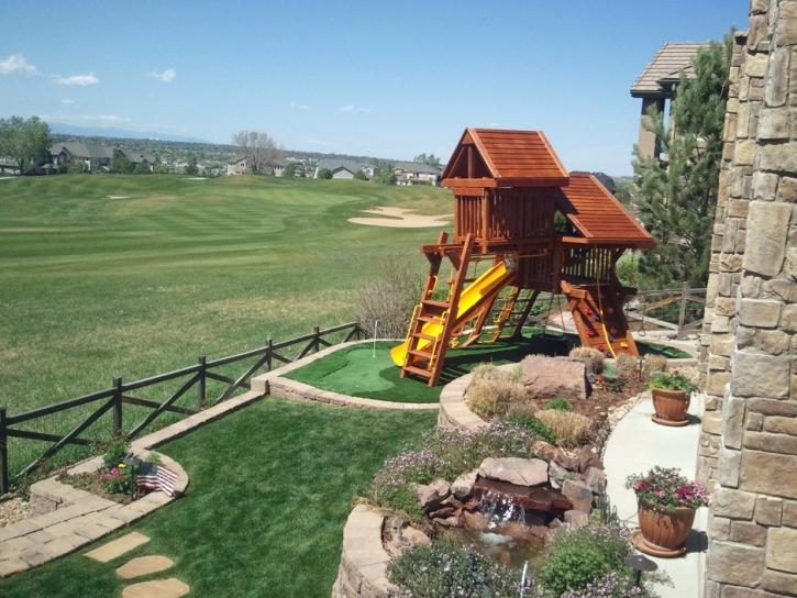 Synthetic Lawn Morrison, Colorado Design Ideas, Backyard Landscaping