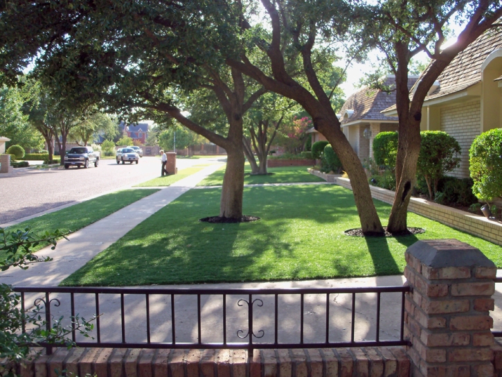 Synthetic Lawn Vineland, Colorado City Landscape, Front Yard Design