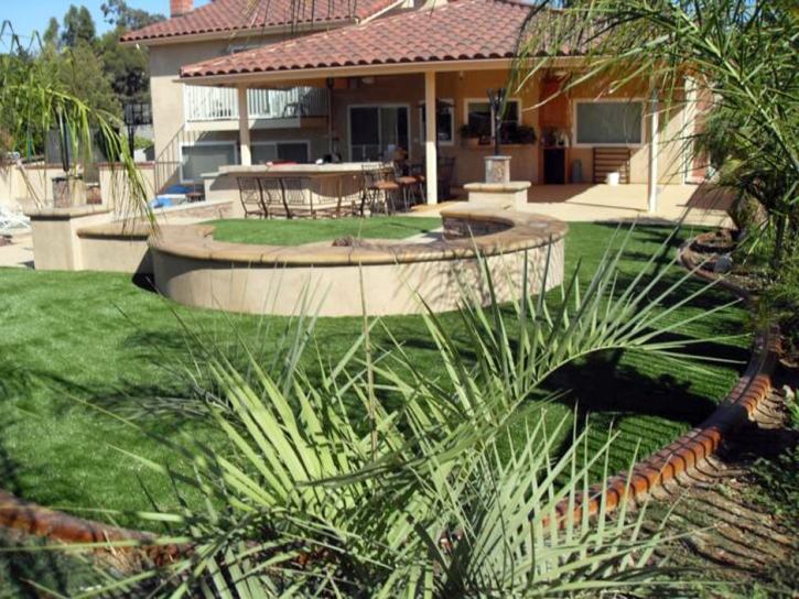 Synthetic Turf Catherine, Colorado Landscape Design, Backyard Landscaping Ideas