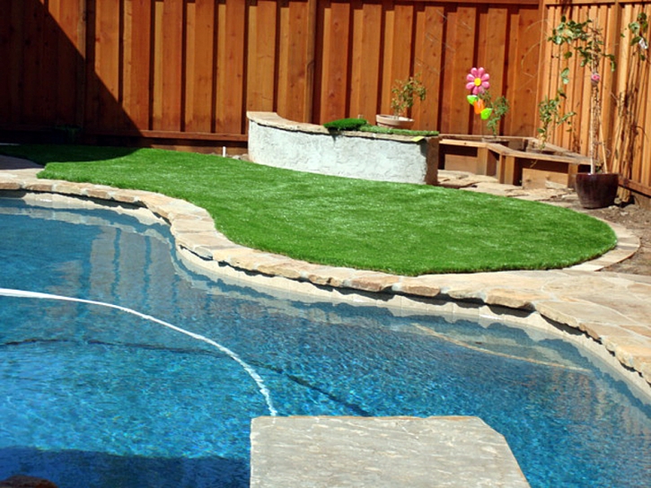 Synthetic Turf Dove Valley, Colorado Design Ideas, Backyard Designs