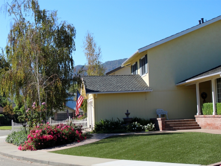 Synthetic Turf Fruitvale, Colorado Garden Ideas, Front Yard Design