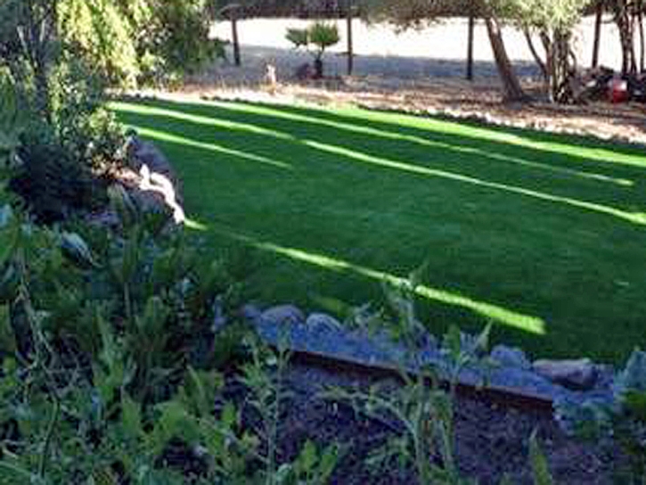 Synthetic Turf Hasty, Colorado Landscaping Business, Backyards