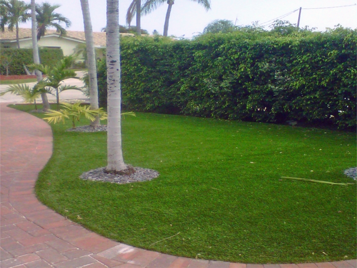 Synthetic Turf Keota, Colorado Design Ideas, Front Yard Design