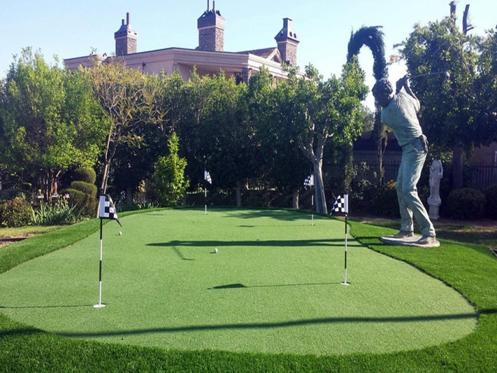 Synthetic Turf La Jara, Colorado Best Indoor Putting Green, Backyard Design