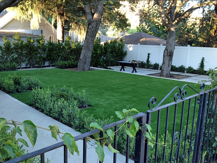 Synthetic Turf Minturn, Colorado Landscaping, Front Yard Landscaping