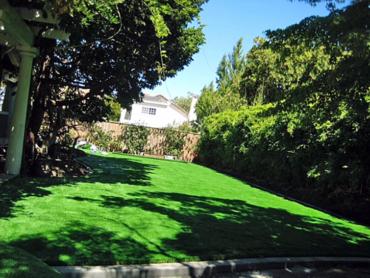 Synthetic Turf Sedalia, Colorado Roof Top, Backyard Landscaping