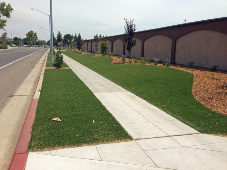 Synthetic Turf Simla, Colorado Landscape Photos, Commercial Landscape