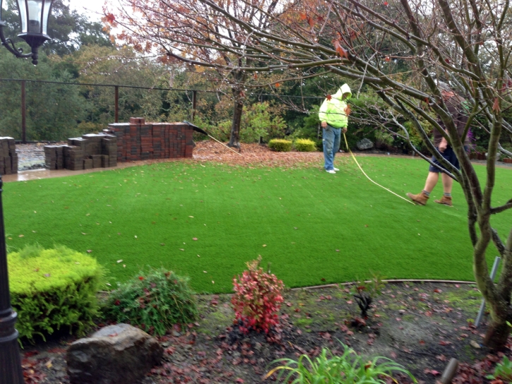 Synthetic Turf Stonegate, Colorado Lawn And Garden, Backyard Landscaping Ideas