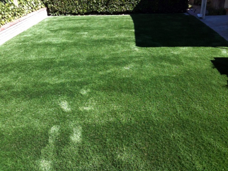 Synthetic Turf Supplier Castle Pines North, Colorado City Landscape, Backyard Garden Ideas