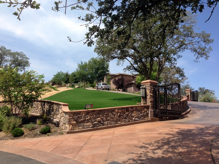 Synthetic Turf Supplier Commerce City, Colorado Roof Top, Small Front Yard Landscaping