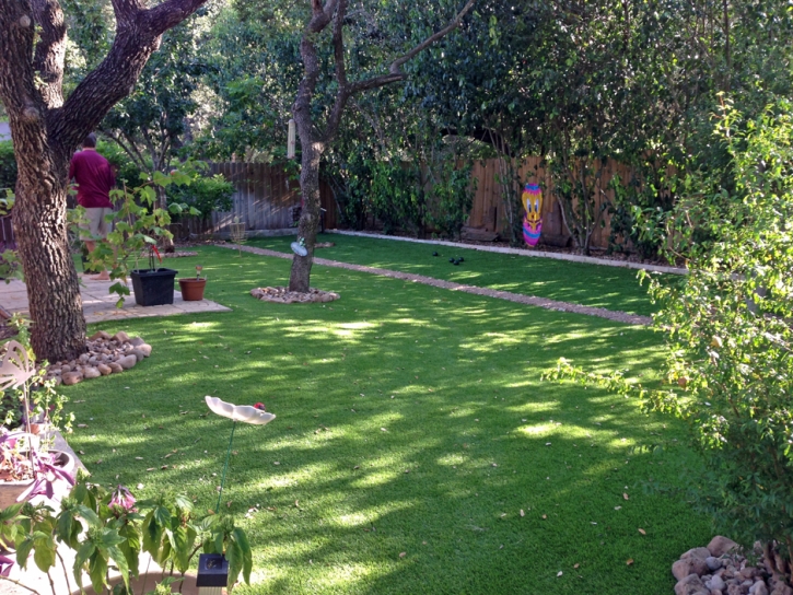 Synthetic Turf Supplier Eckley, Colorado Gardeners, Backyard Garden Ideas