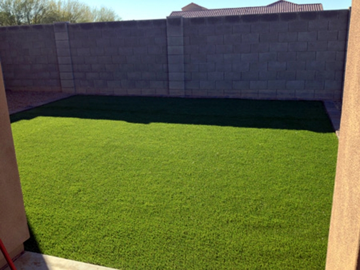 Synthetic Turf Supplier Genoa, Colorado Landscaping Business, Backyards