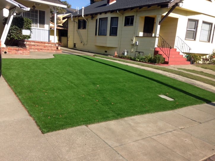 Synthetic Turf Supplier Granby, Colorado City Landscape, Front Yard Ideas