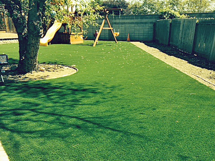 Synthetic Turf Supplier Kit Carson, Colorado Landscaping, Backyard