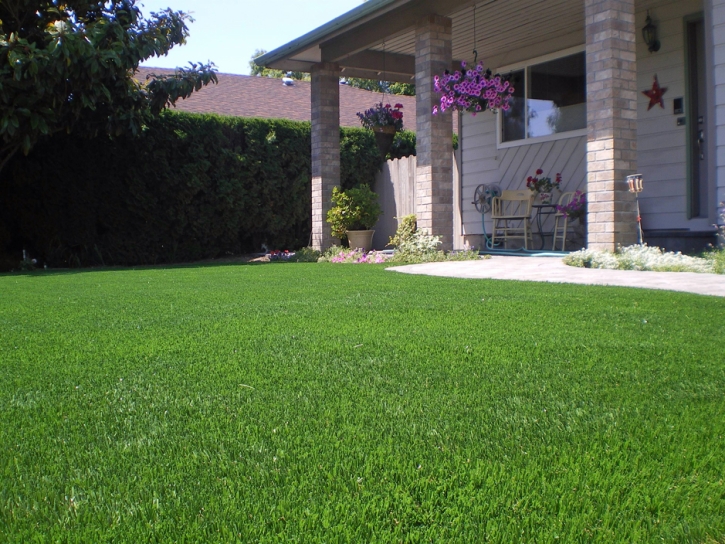 Synthetic Turf Supplier Lincoln Park, Colorado Design Ideas, Front Yard Design