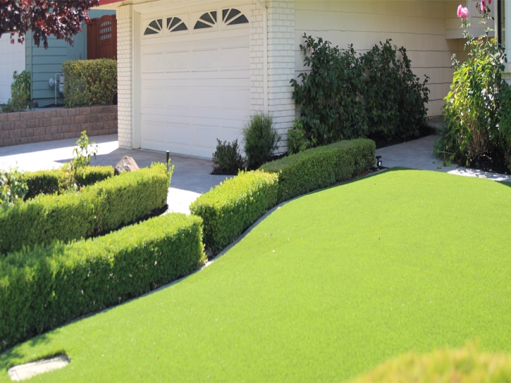 Synthetic Turf Supplier Naturita, Colorado Design Ideas, Front Yard Ideas