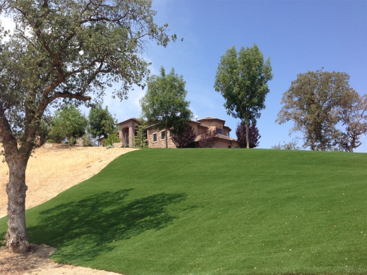 Synthetic Turf Supplier Peyton, Colorado Lawns, Front Yard Landscaping Ideas