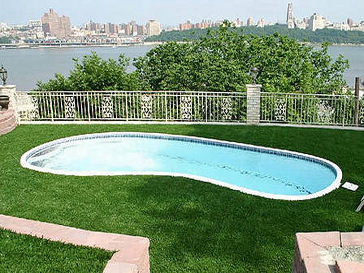 Synthetic Turf Supplier Walsenburg, Colorado Backyard Playground, Above Ground Swimming Pool