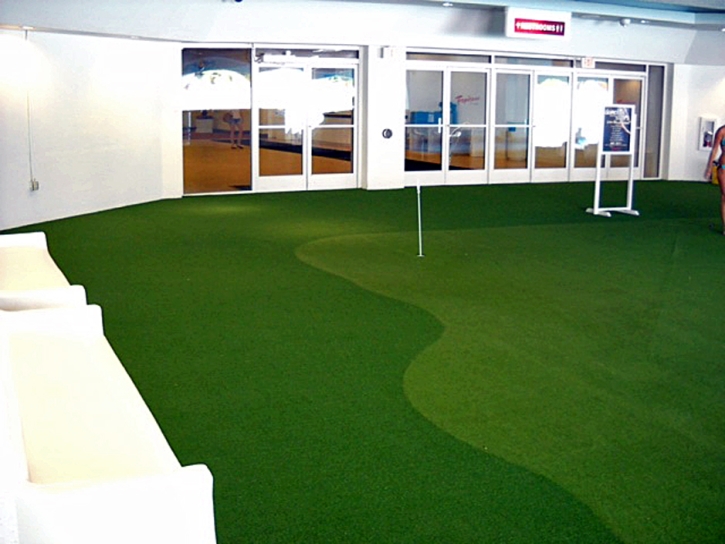 Synthetic Turf Supplier Ward, Colorado City Landscape, Commercial Landscape