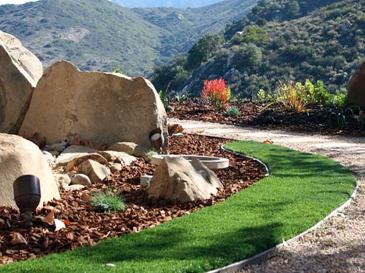 Synthetic Turf Supplier Yampa, Colorado City Landscape, Front Yard Landscaping