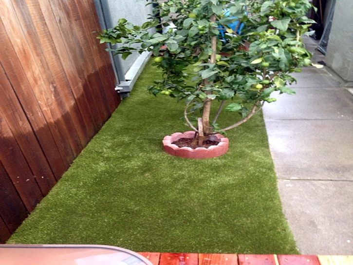 Synthetic Turf Yuma, Colorado Garden Ideas, Backyards