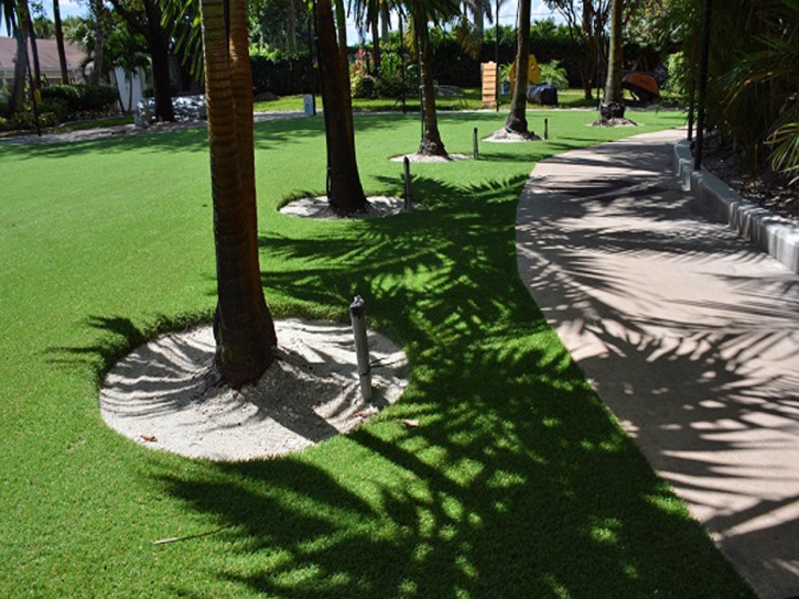 Turf Grass Garden City, Colorado Lawn And Landscape, Commercial Landscape