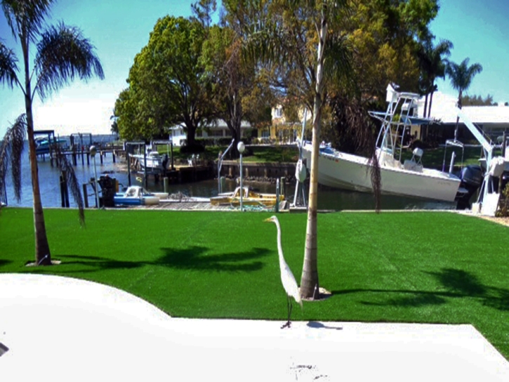 Turf Grass Greenwood Village, Colorado Landscaping, Backyard Makeover