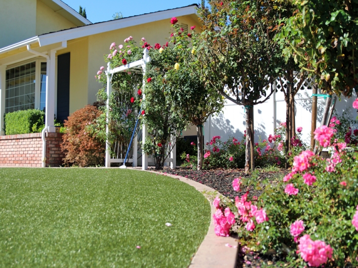 Turf Grass Kim, Colorado Lawn And Landscape, Front Yard Design