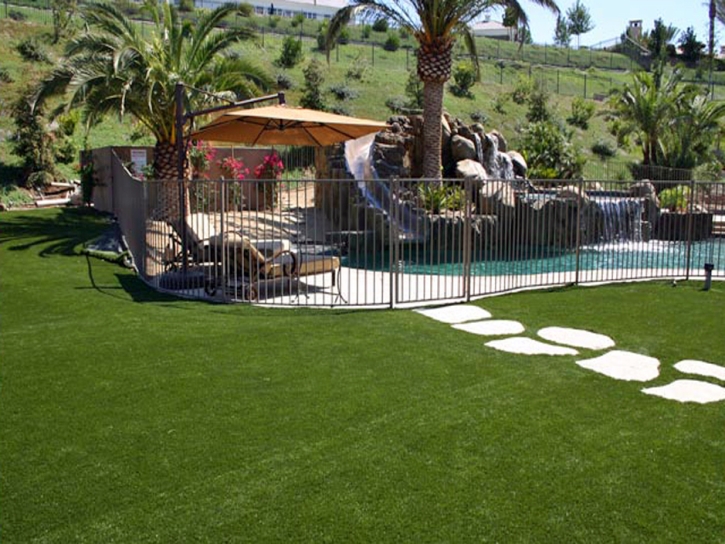 Turf Grass Sunshine, Colorado Gardeners, Commercial Landscape