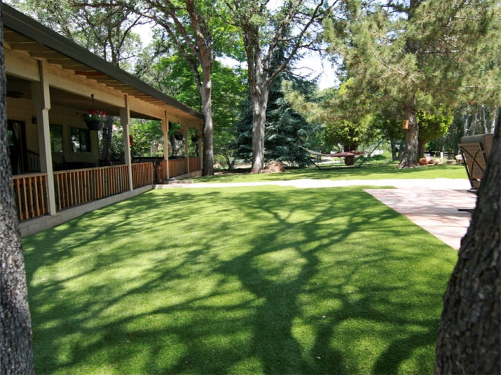 Turf Grass Yampa, Colorado Backyard Playground, Backyard Landscaping Ideas